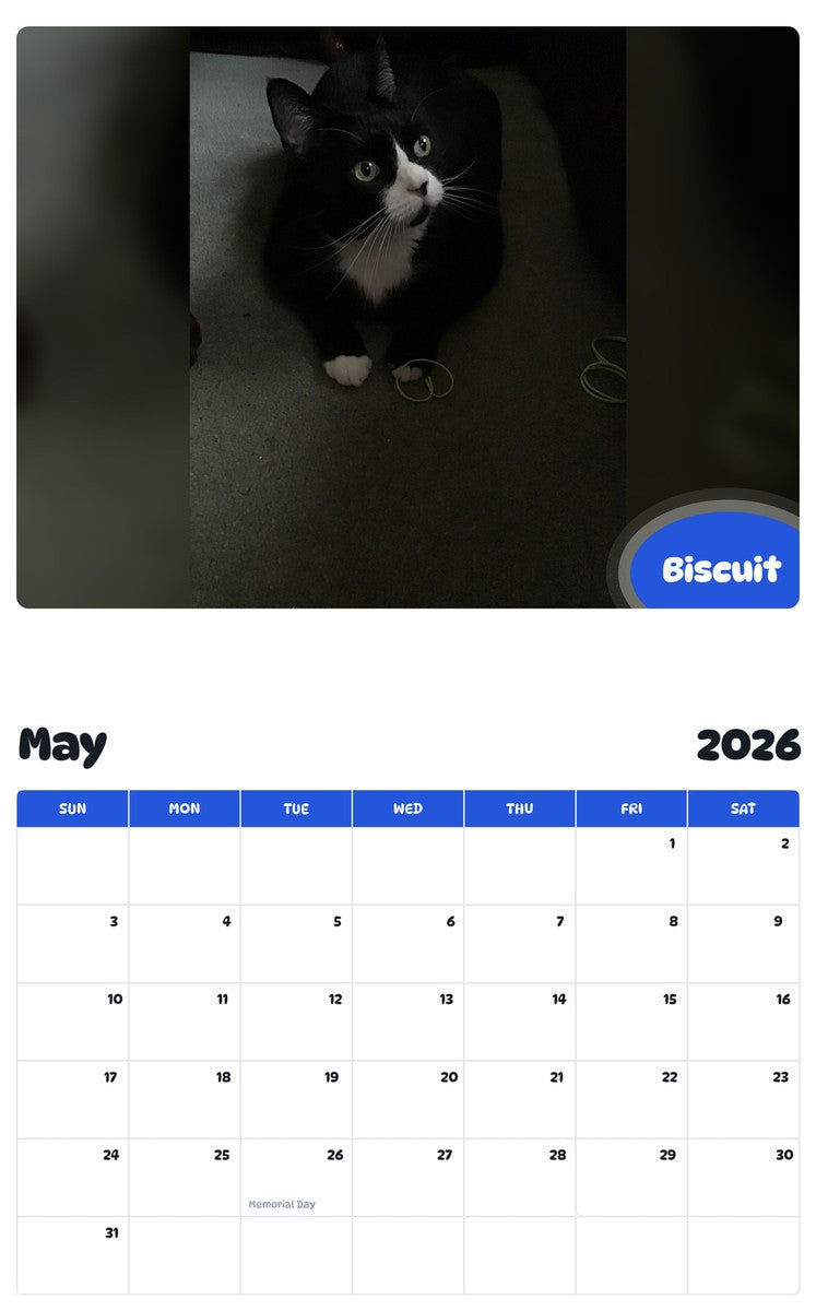 2026 - 2027 Biscuit - Pawidols Pet Calendar