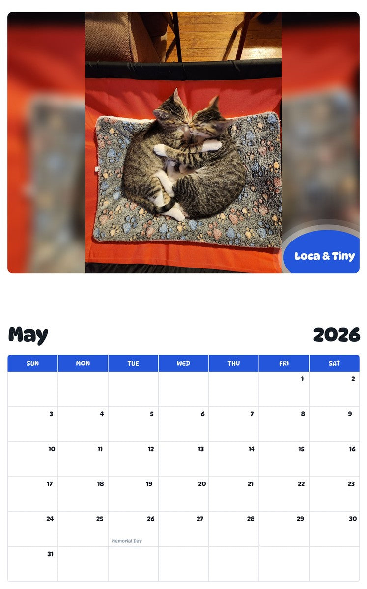 2026 - 2027 Loca & Tiny - Pawidols Pet Calendar