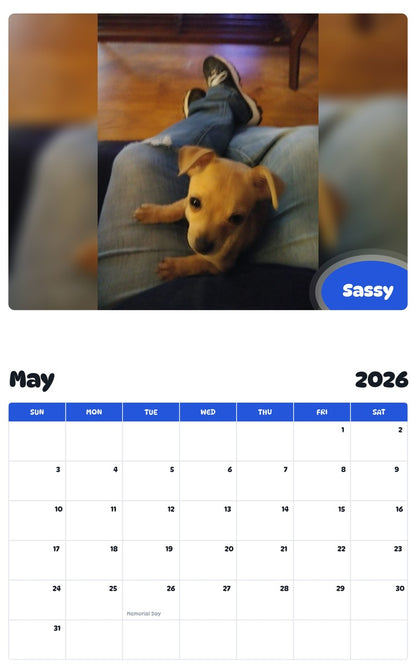 2026 - 2027 Sassy - Pawidols Pet Calendar