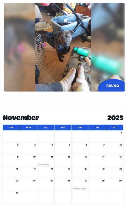 July 2025 - June 2026 Bruno - Pawidols Pet Calendar