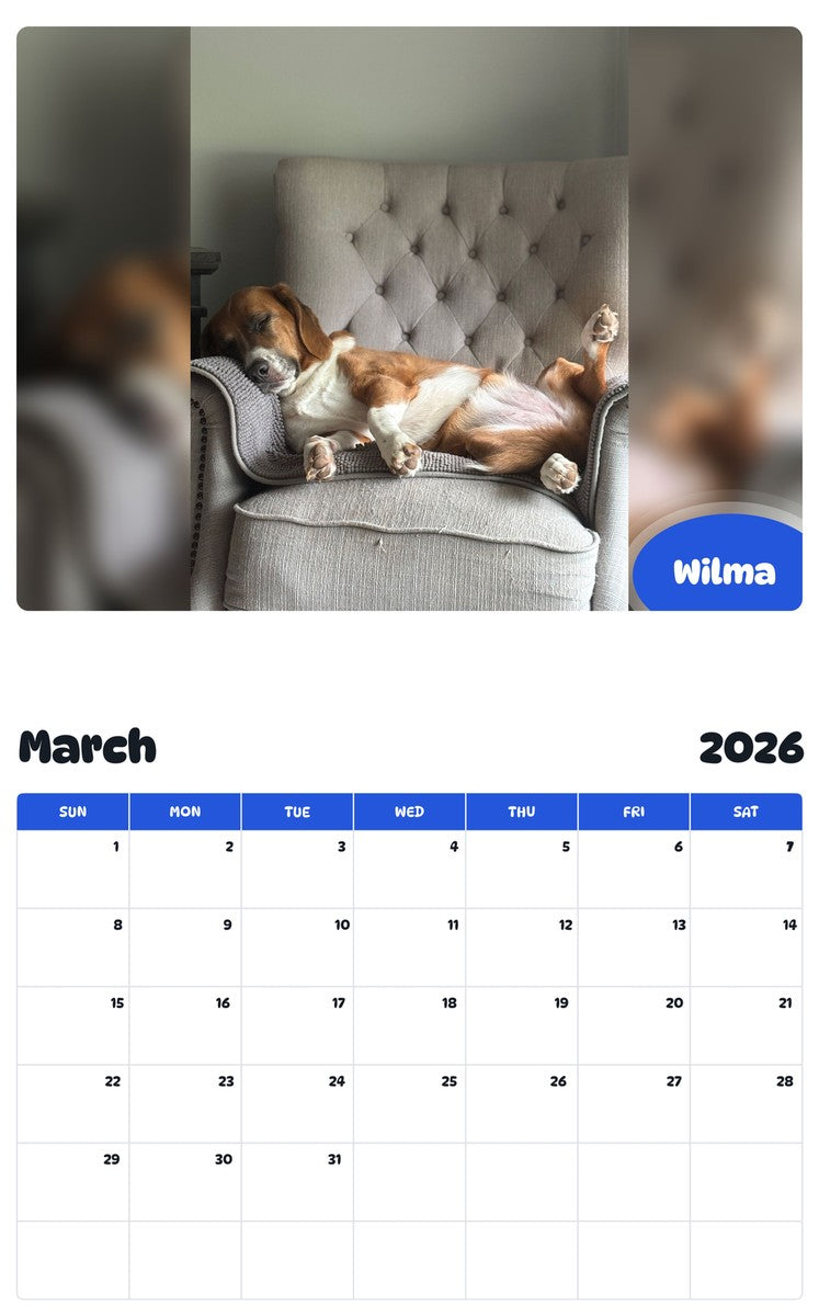 November 2025 - October 2026 Wilma - Pawidols Pet Calendar