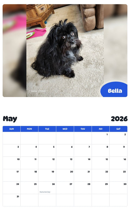 2026 - 2027 Bella - Pawidols Pet Calendar