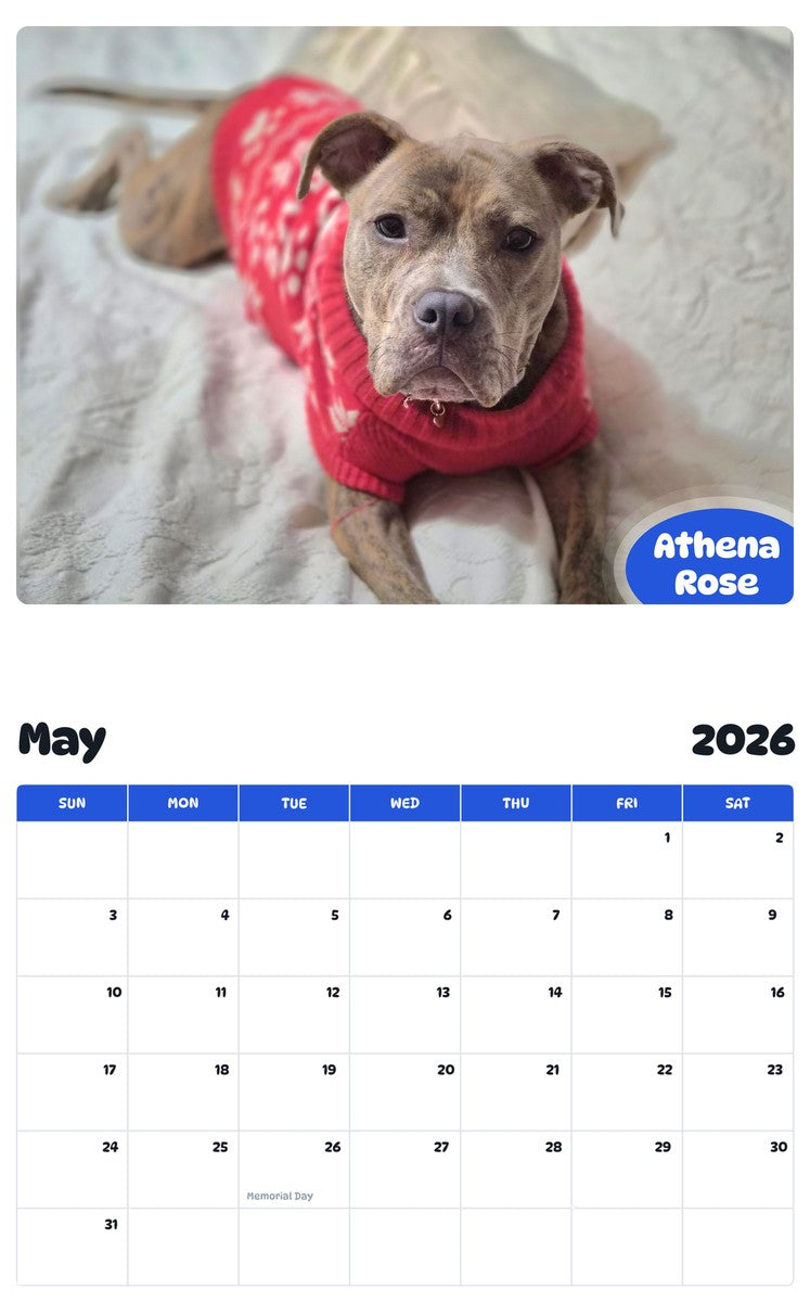 2026 - 2027 Athena Rose - Pawidols Pet Calendar