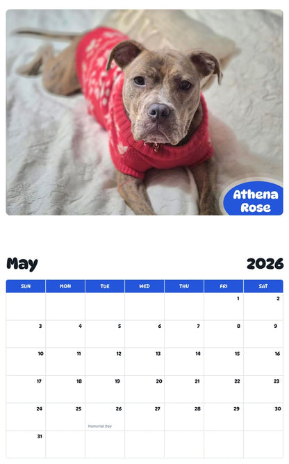 2026 - 2027 Athena Rose - Pawidols Pet Calendar