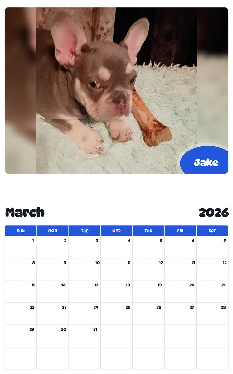 November 2025 - October 2026 Jake - Pawidols Pet Calendar