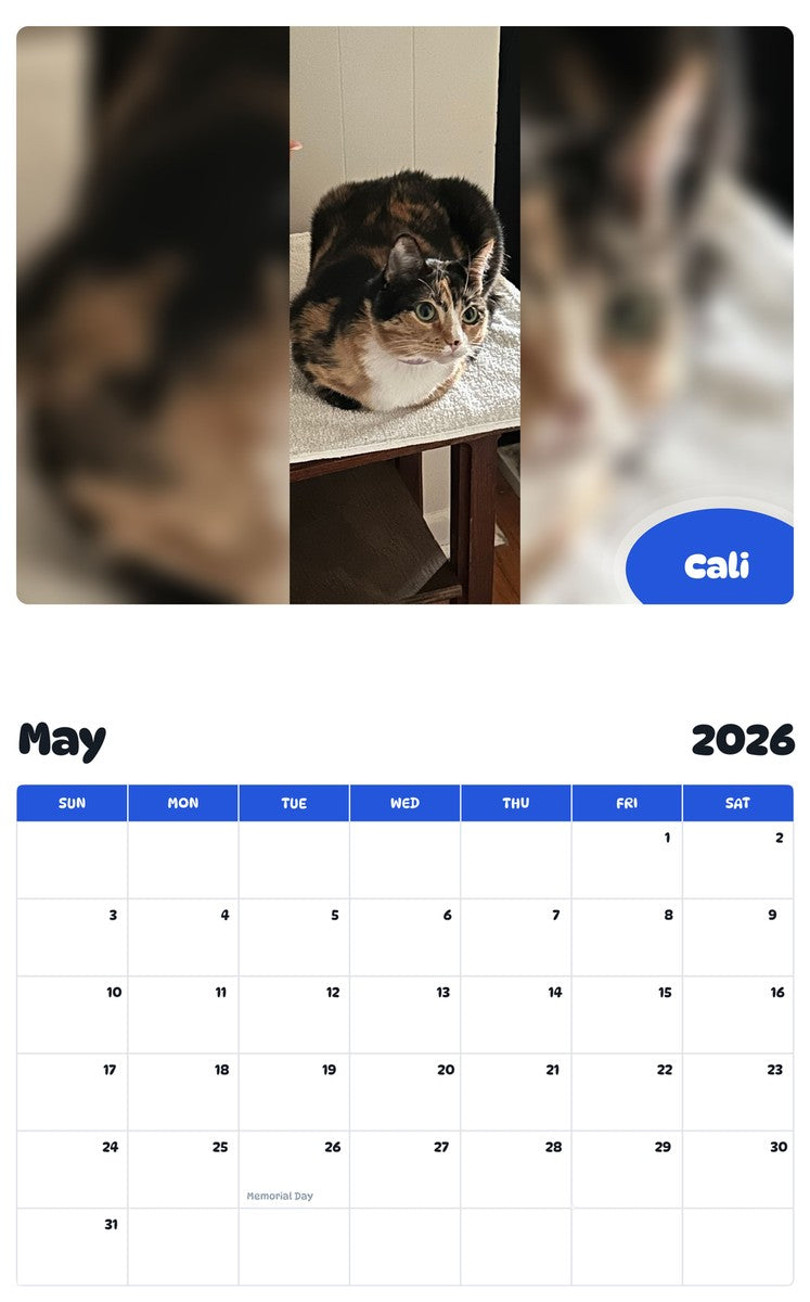 2026 - 2027 Cali - Pawidols Pet Calendar