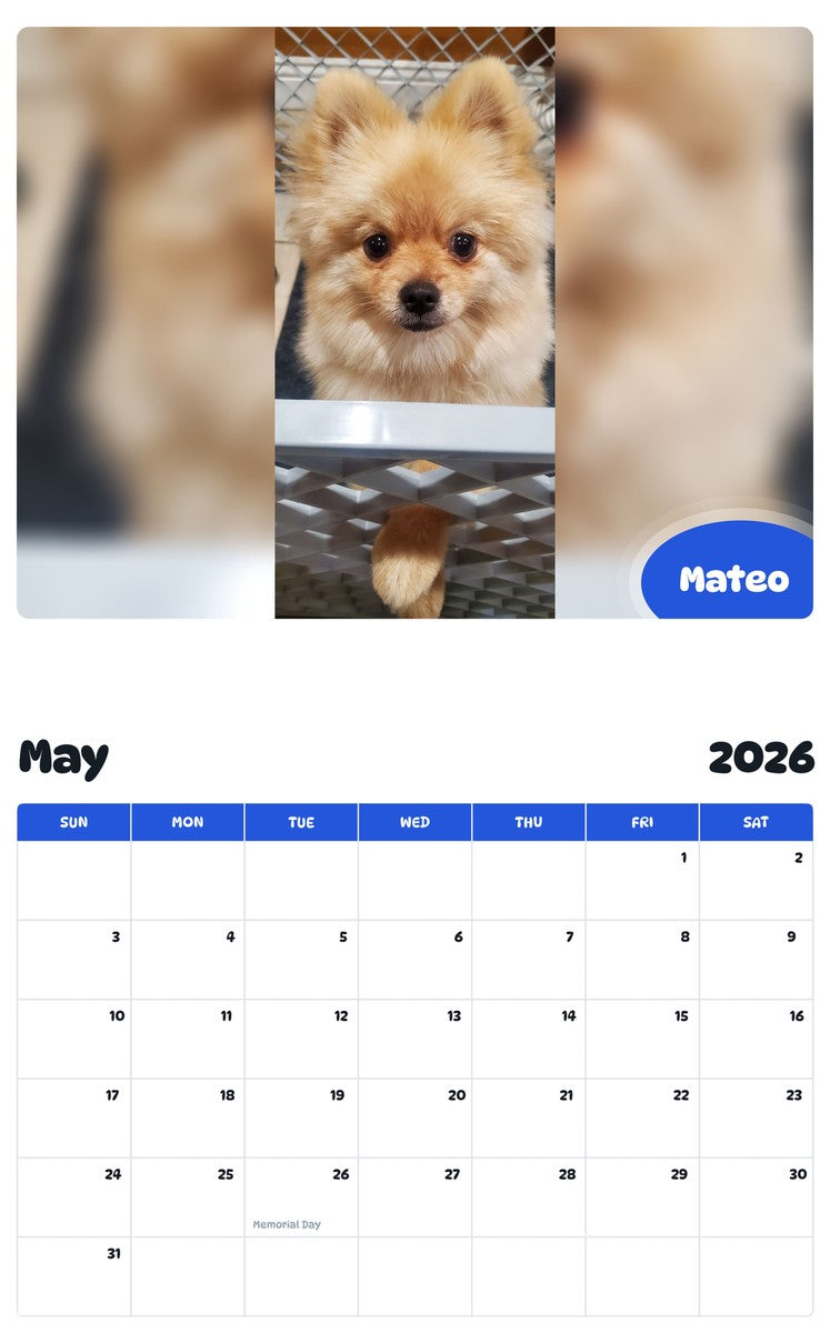 2026 - 2027 Mateo - Pawidols Pet Calendar