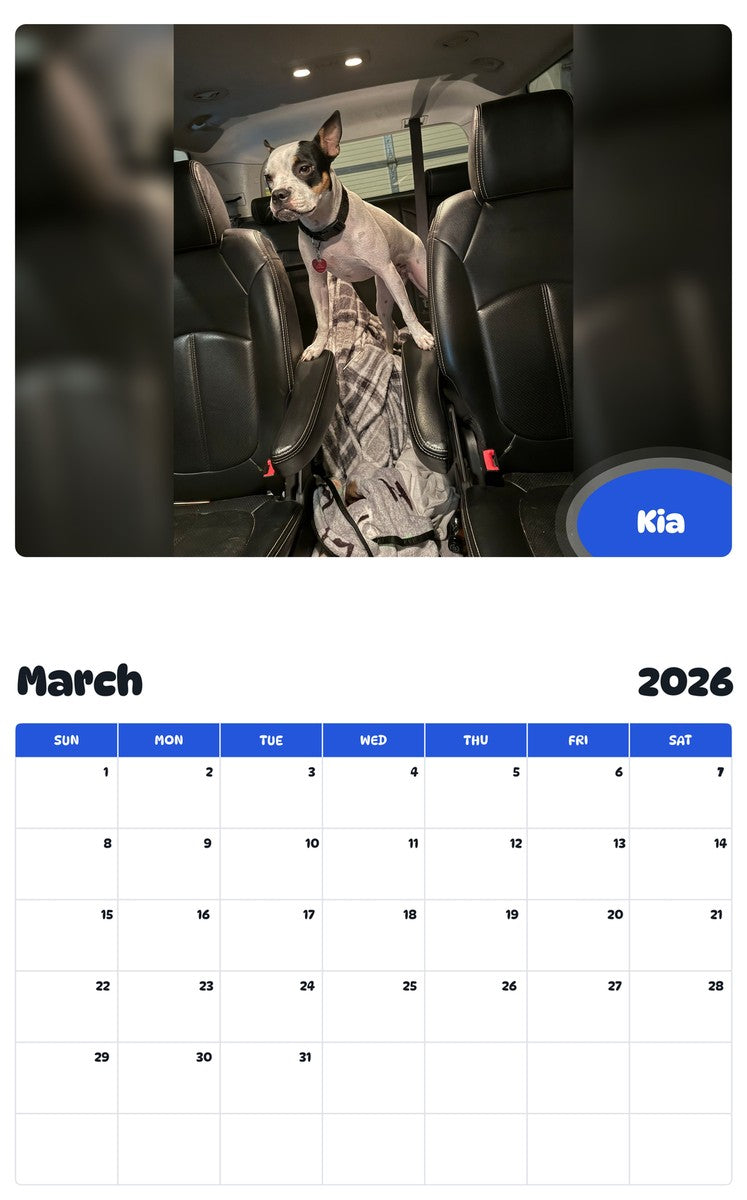 November 2025 - October 2026 Kia - Pawidols Pet Calendar