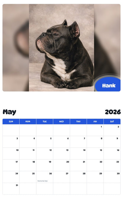 2026 - 2027 Hank - Pawidols Pet Calendar