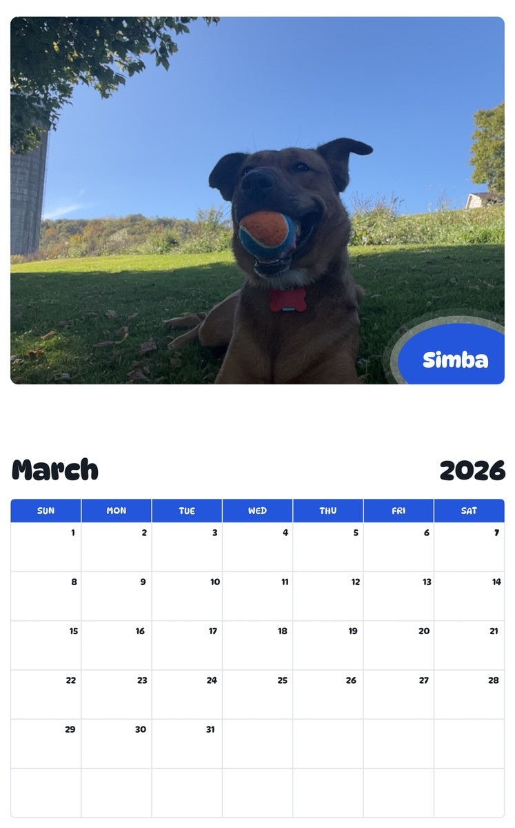 November 2025 - October 2026 Simba - Pawidols Pet Calendar