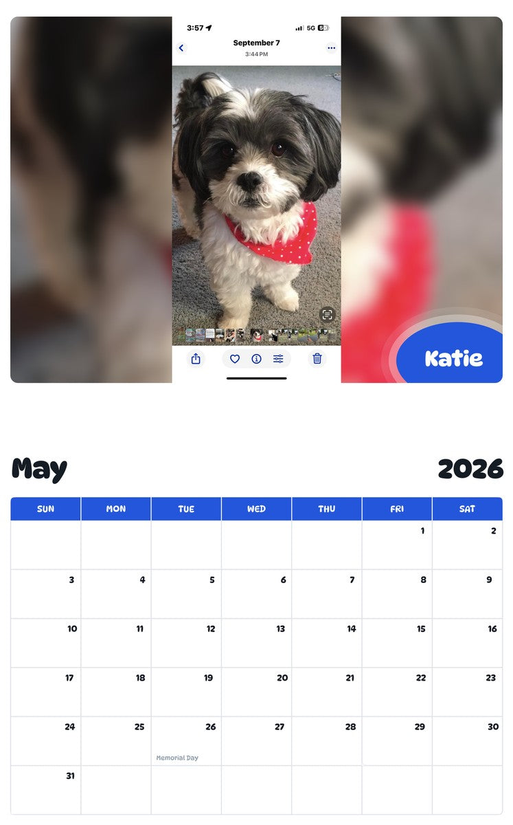 2026 - 2027 Katie - Pawidols Pet Calendar
