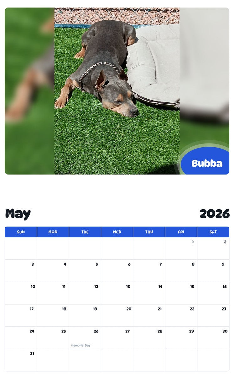 2026 - 2027 Bubba - Pawidols Pet Calendar
