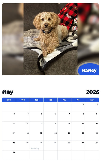 2026 - 2027 Harley - Pawidols Pet Calendar