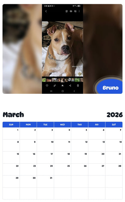 November 2025 - October 2026 Bruno - Pawidols Pet Calendar
