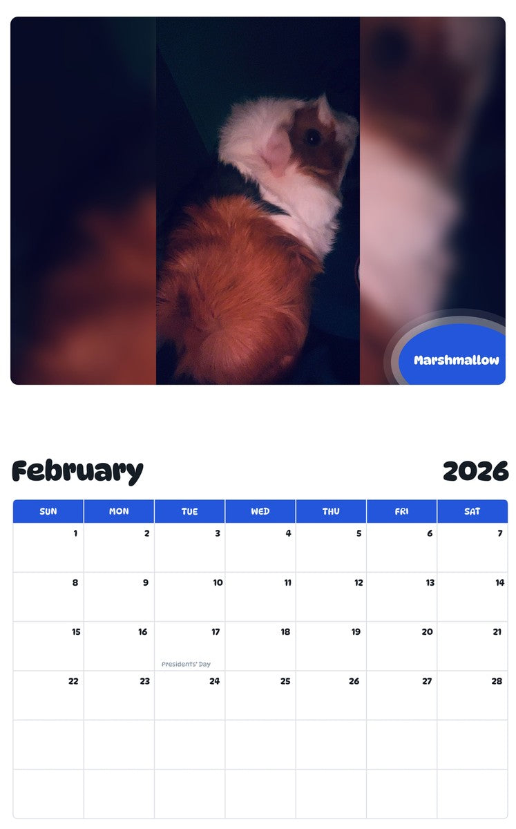 November 2025 - October 2026 Marshmallow - Pawidols Pet Calendar