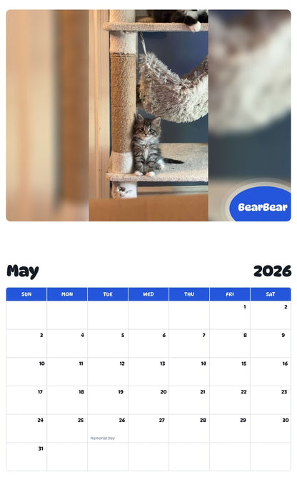 2026 - 2027 BearBear - Pawidols Pet Calendar