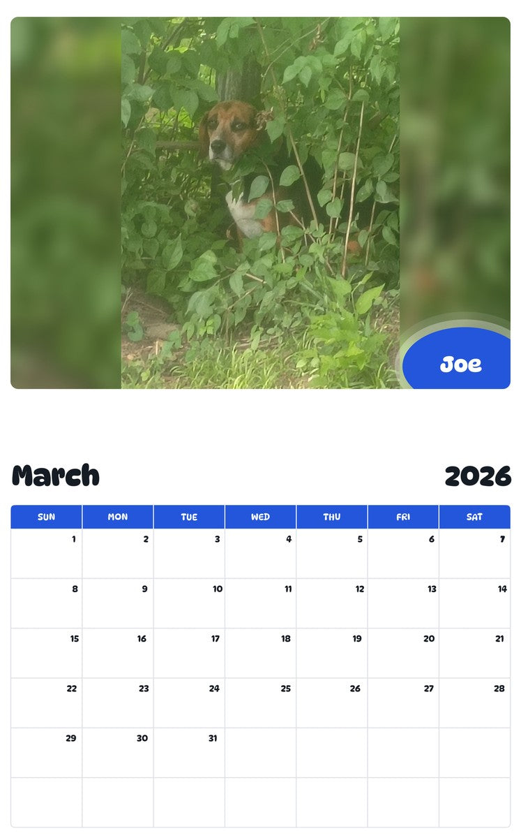 November 2025 - October 2026 Joe - Pawidols Pet Calendar