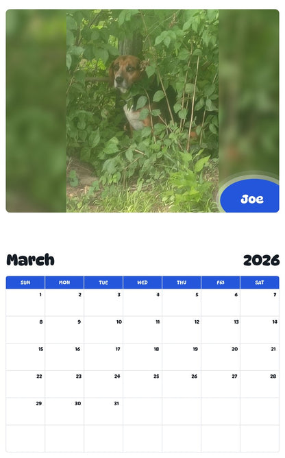 November 2025 - October 2026 Joe - Pawidols Pet Calendar