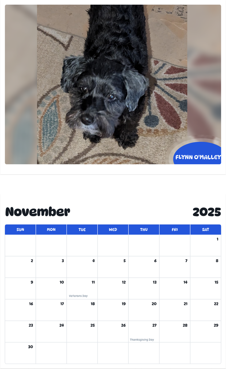 July 2025 - June 2026 Flynn O'Malley - Pawidols Pet Calendar