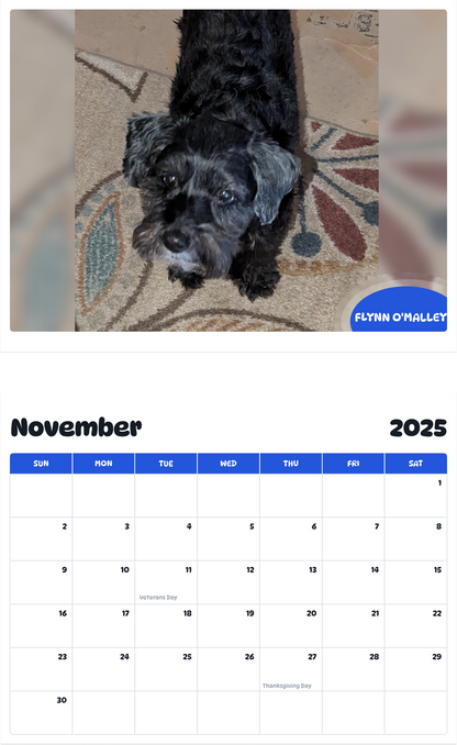 July 2025 - June 2026 Flynn O'Malley - Pawidols Pet Calendar