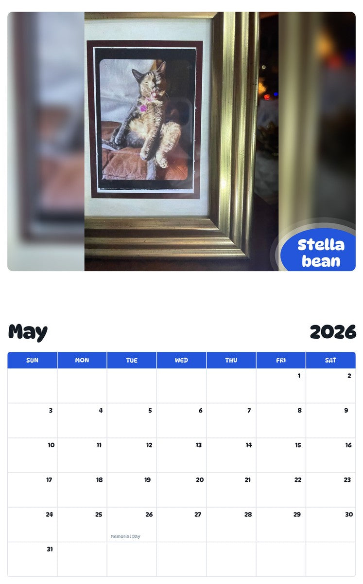 2026 - 2027 Stella bean - Pawidols Pet Calendar