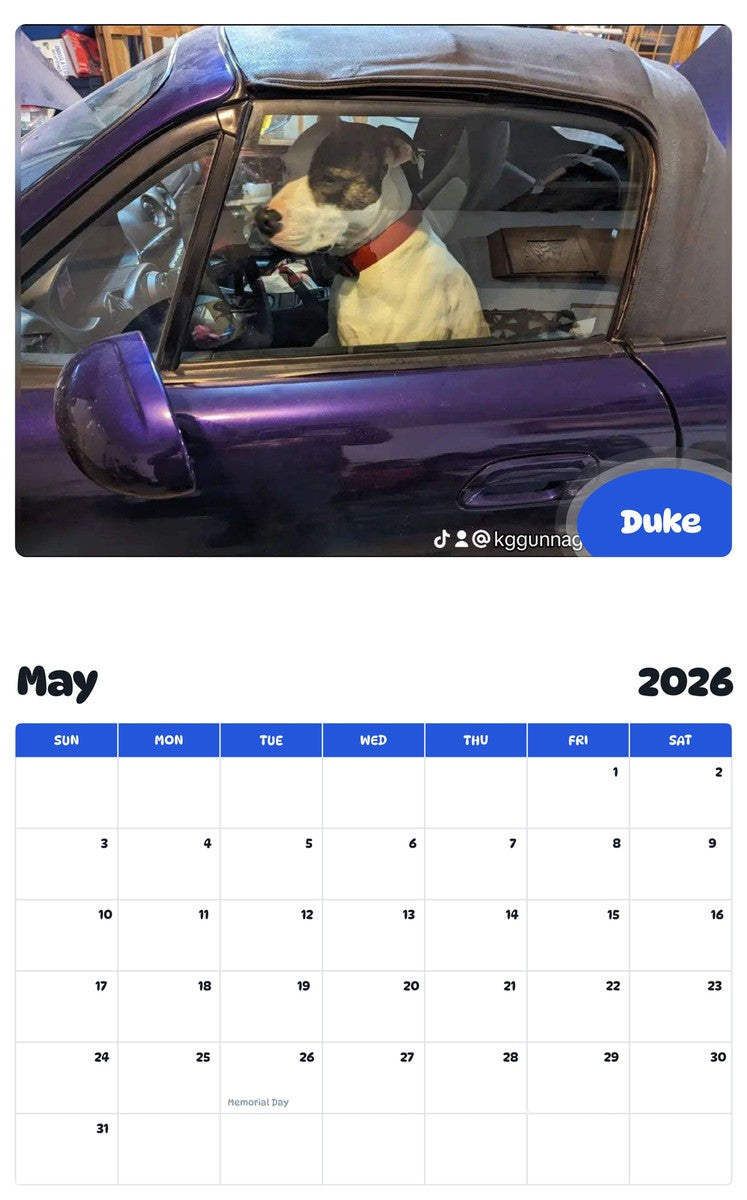 2026 - 2027 Duke - Pawidols Pet Calendar