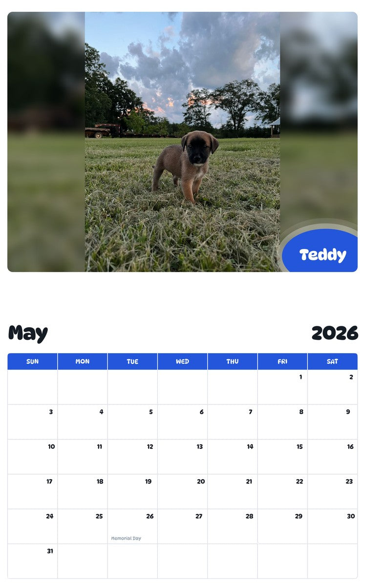 2026 - 2027 Teddy - Pawidols Pet Calendar