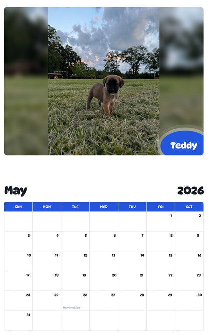 2026 - 2027 Teddy - Pawidols Pet Calendar