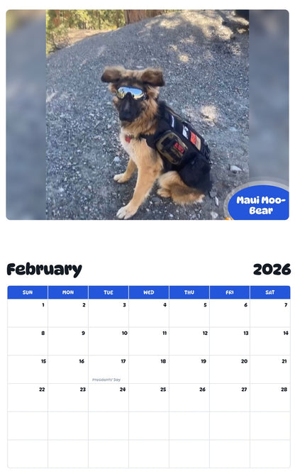 October 2025 - September 2026 Maui Moo-Bear - Pawidols Pet Calendar