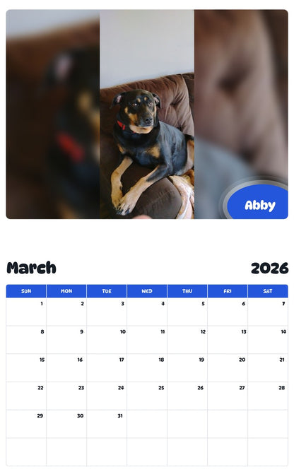 November 2025 - October 2026 Abby - Pawidols Pet Calendar