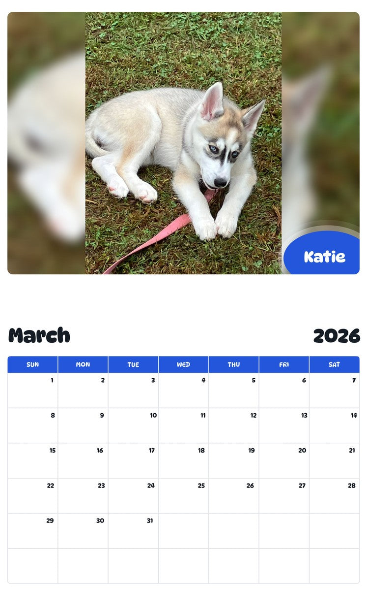 November 2025 - October 2026 Katie - Pawidols Pet Calendar
