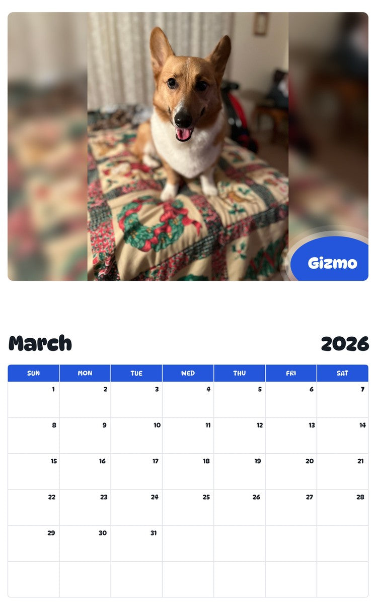 November 2025 - October 2026 Gizmo - Pawidols Pet Calendar