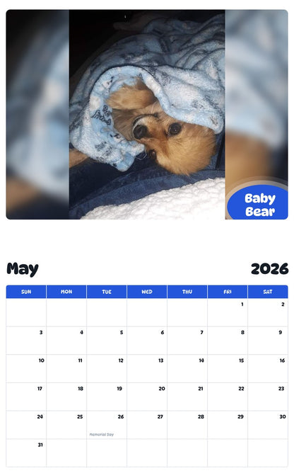 2026 - 2027 Baby Bear - Pawidols Pet Calendar