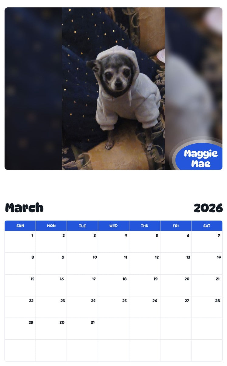 November 2025 - October 2026 Maggie Mae - Pawidols Pet Calendar