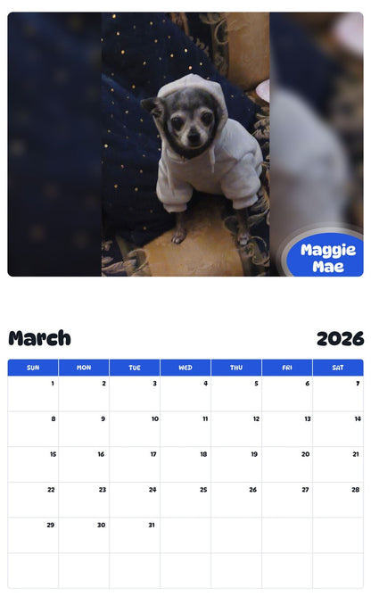November 2025 - October 2026 Maggie Mae - Pawidols Pet Calendar
