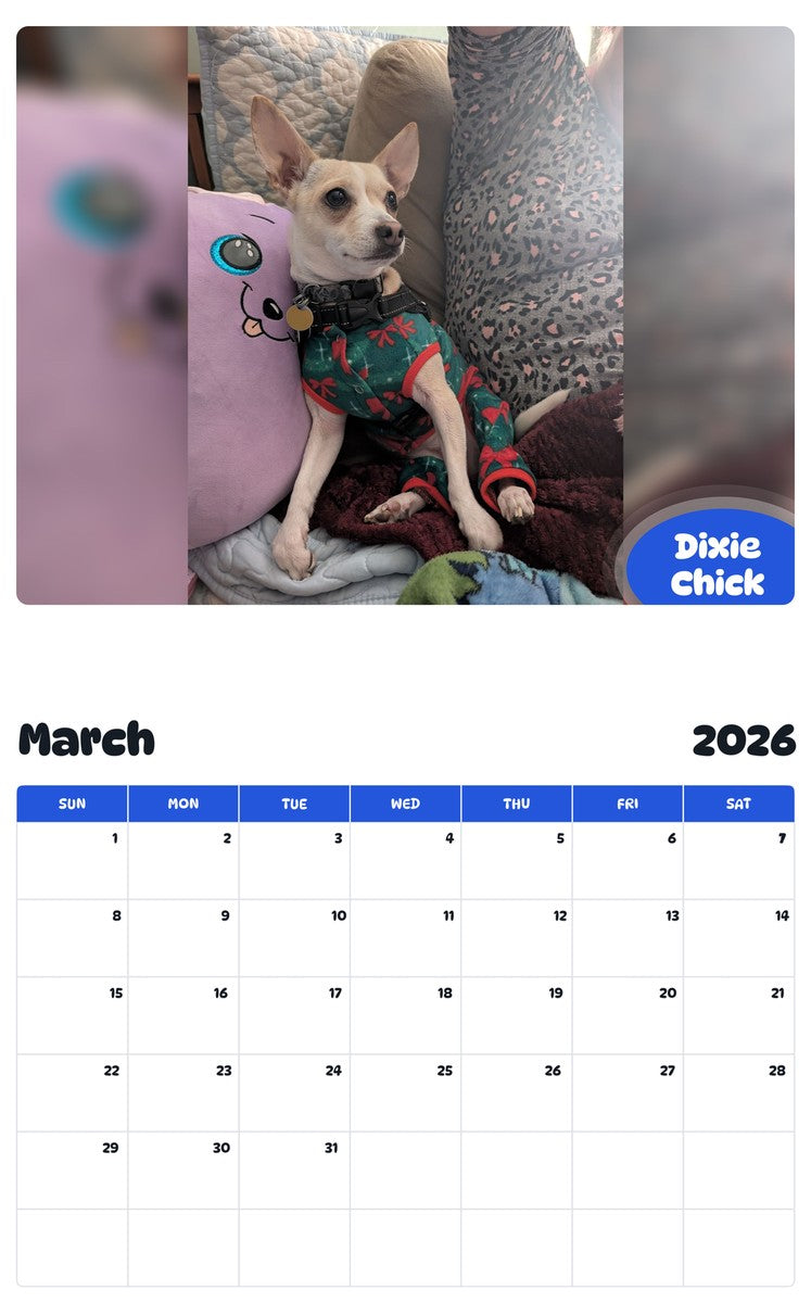 November 2025 - October 2026 Dixie Chick - Pawidols Pet Calendar