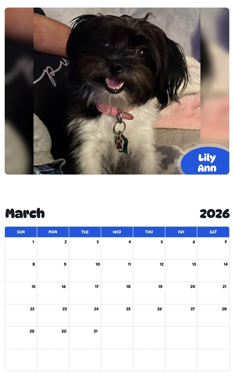 November 2025 - October 2026 Lily Ann - Pawidols Pet Calendar