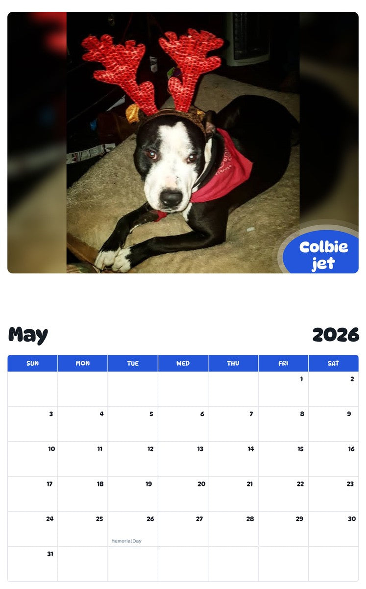 2026 - 2027 Colbie jet - Pawidols Pet Calendar