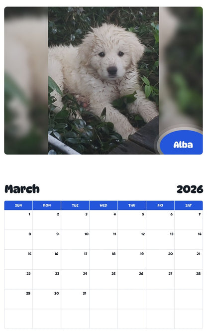 November 2025 - October 2026 Alba - Pawidols Pet Calendar