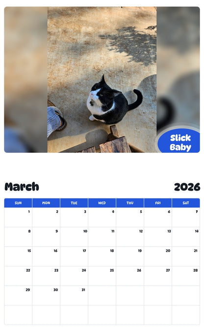November 2025 - October 2026 Slick Baby - Pawidols Pet Calendar