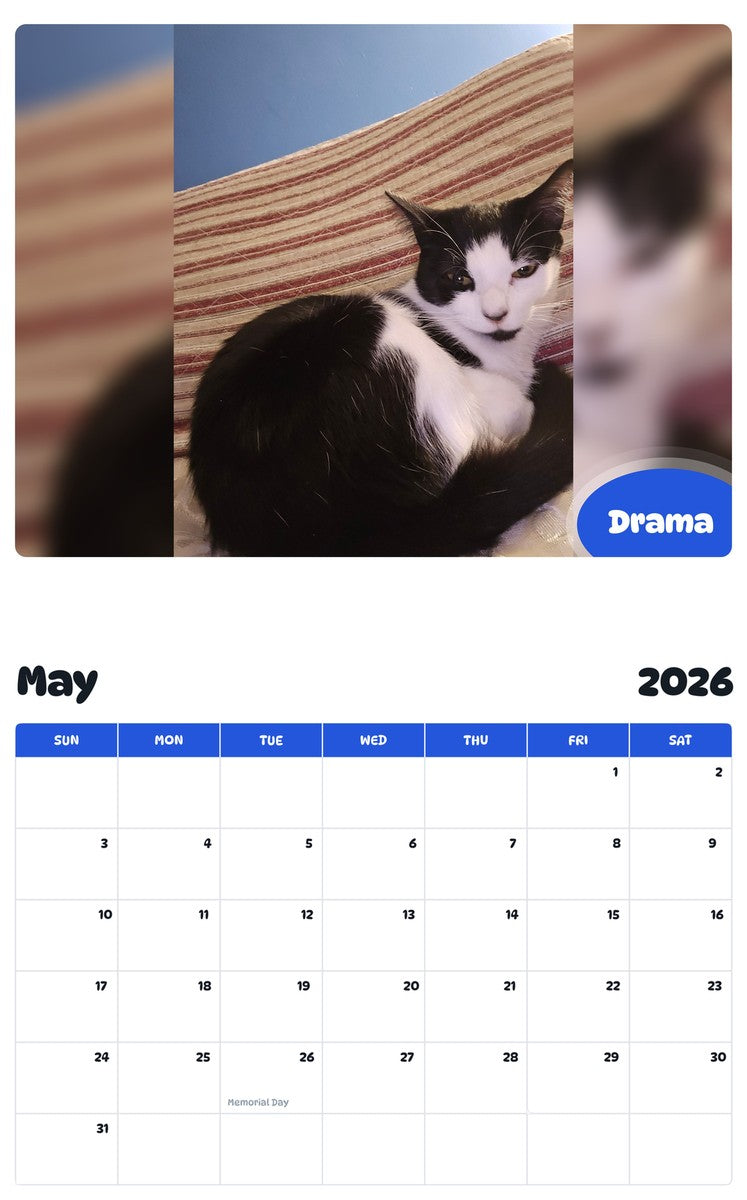 2026 - 2027 Drama - Pawidols Pet Calendar