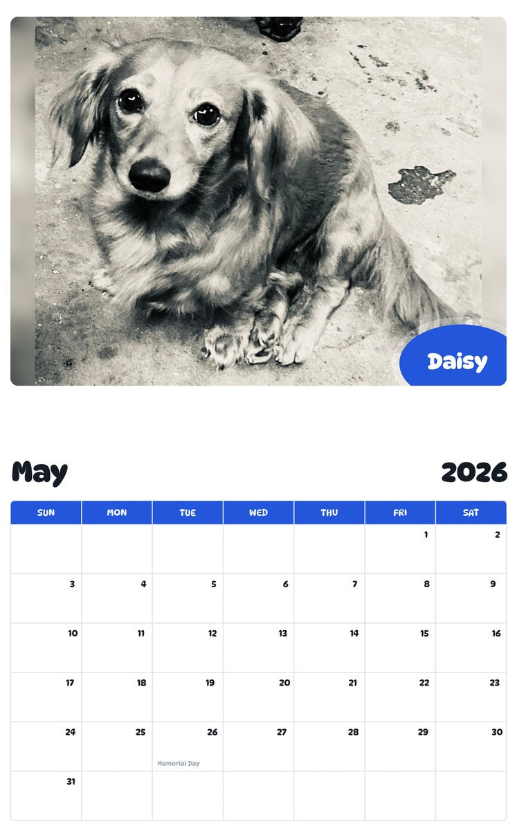 2026 - 2027 Daisy - Pawidols Pet Calendar