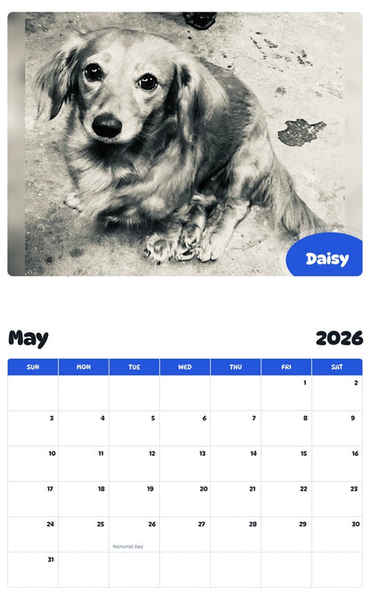 2026 - 2027 Daisy - Pawidols Pet Calendar
