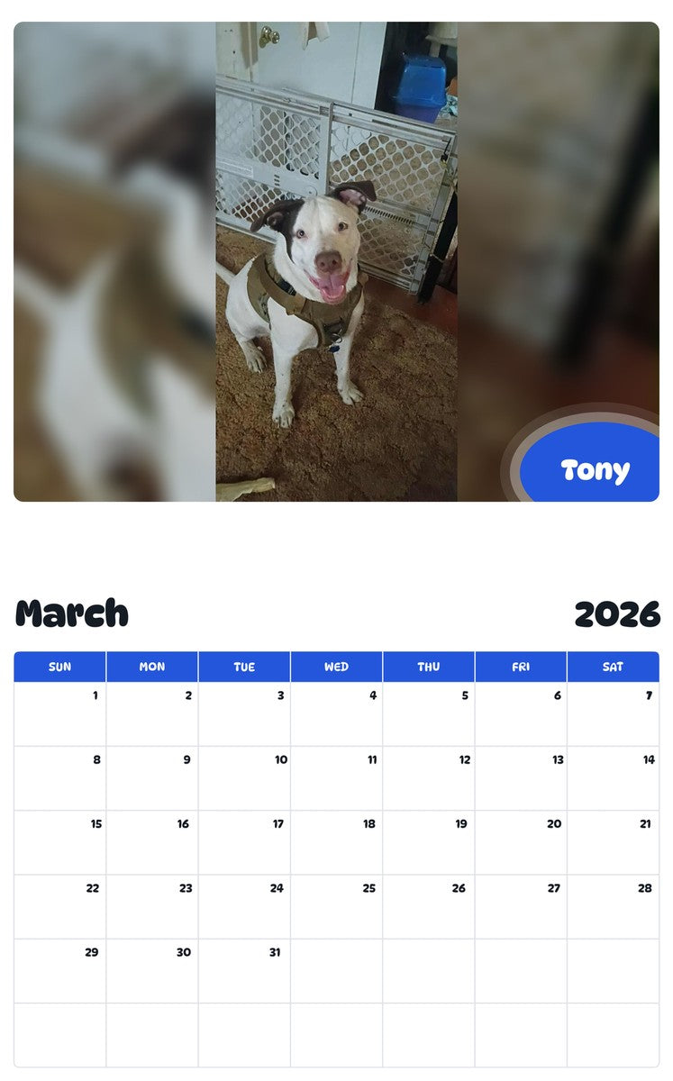 November 2025 - October 2026 Tony - Pawidols Pet Calendar