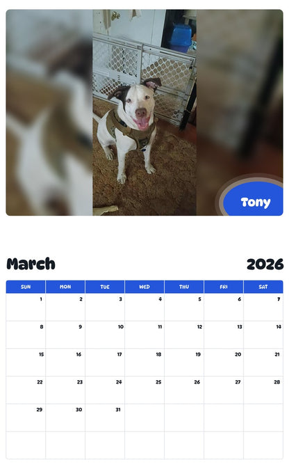 November 2025 - October 2026 Tony - Pawidols Pet Calendar