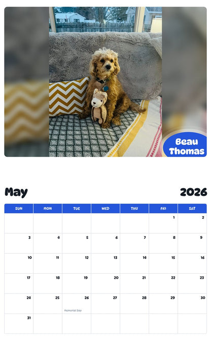 2026 - 2027 Beau Thomas - Pawidols Pet Calendar