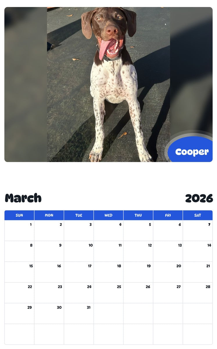 November 2025 - October 2026 Cooper - Pawidols Pet Calendar