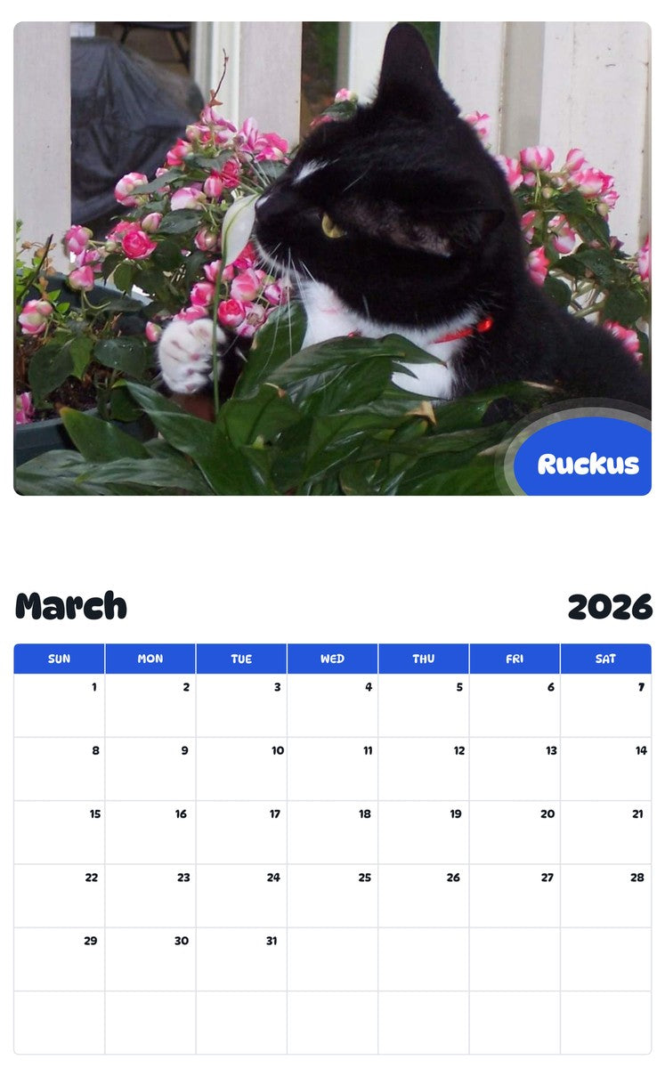November 2025 - October 2026 Ruckus - Pawidols Pet Calendar