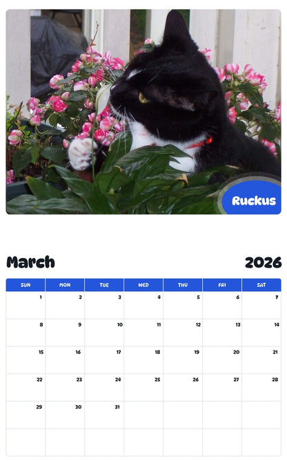 November 2025 - October 2026 Ruckus - Pawidols Pet Calendar