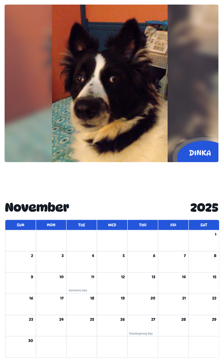 July 2025 - June 2026 Dinka - Pawidols Pet Calendar